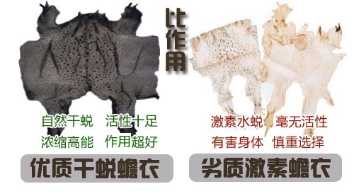 如何選擇好蟾衣？您踩坑了嗎？